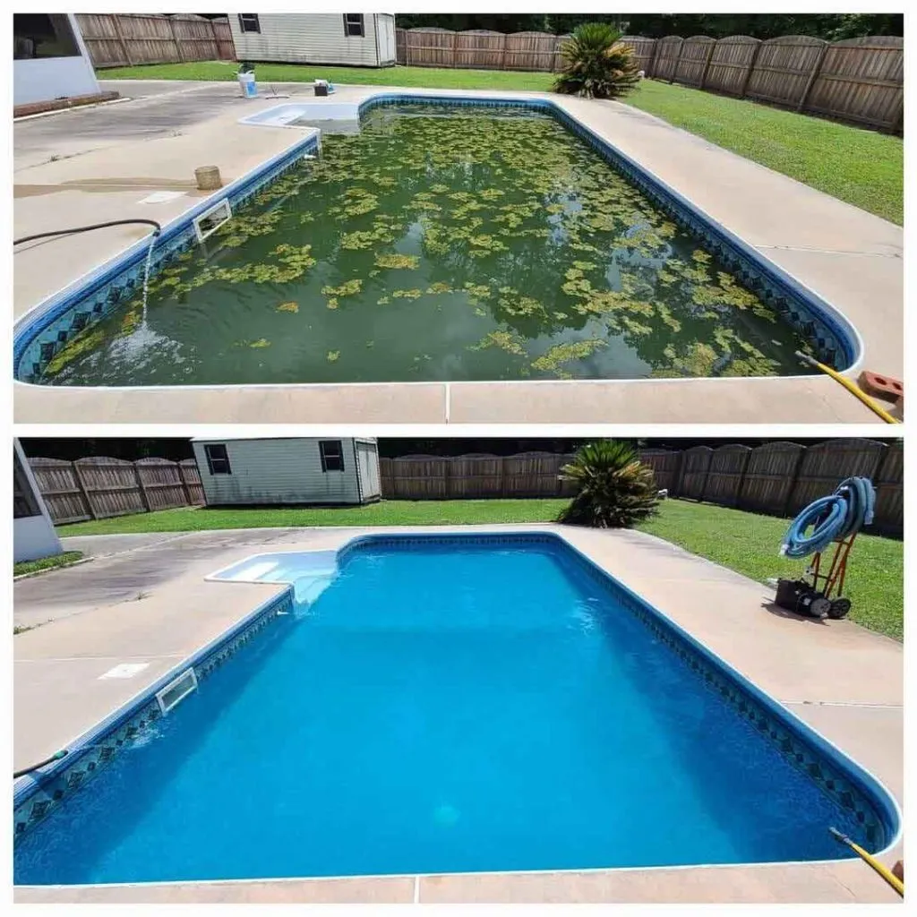 Blog post: Why Your Pool Turns Green After a Florida Storm (And How to Fix It)