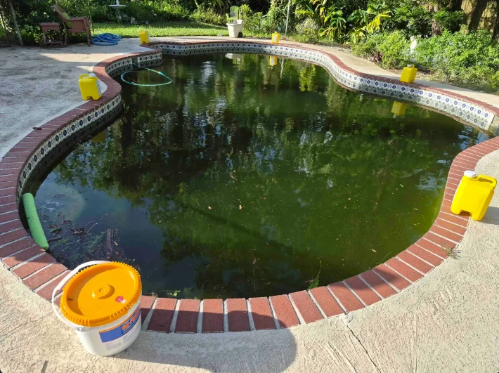 Before Algae Bloom Recovery