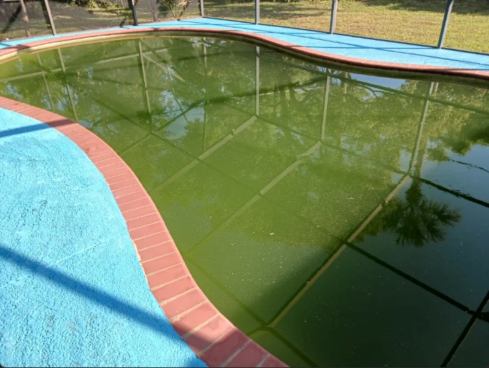 Blog post: Is Your Pool Green or Just Cloudy? How to Tell the Difference