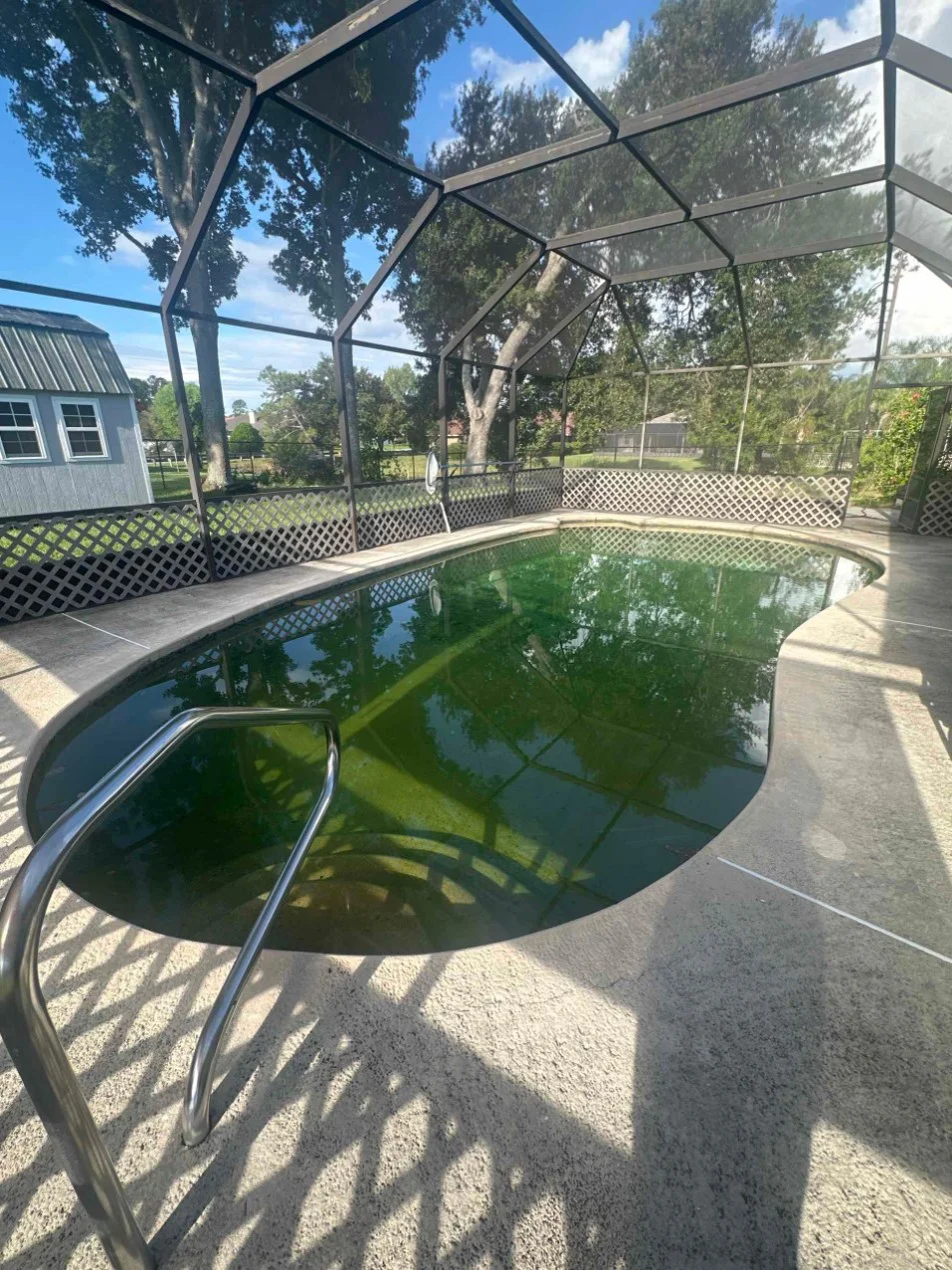 Blog post: Green Pool Cleanup Cost: Is DIY Actually Cheaper?